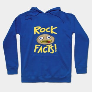 Just a Rock Fact Hoodie